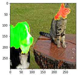 an image alt text